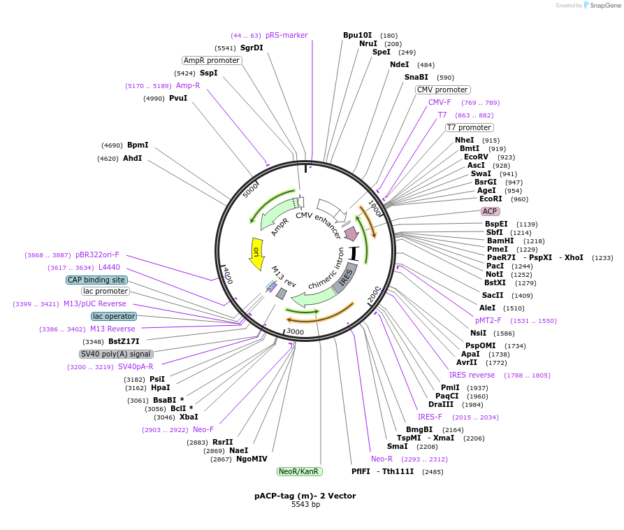 190576_map