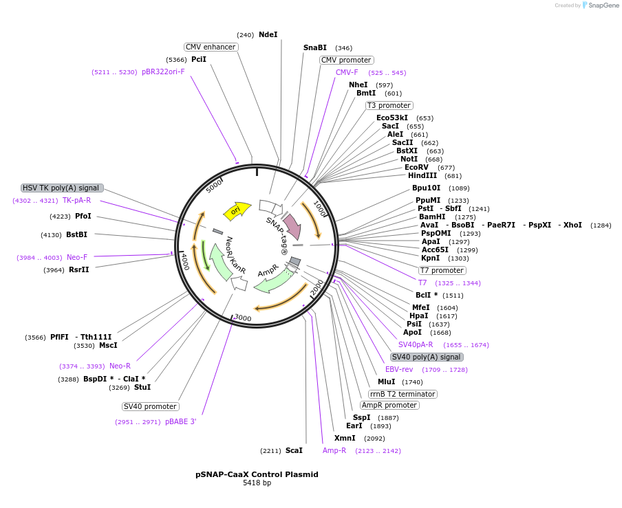 190583_map