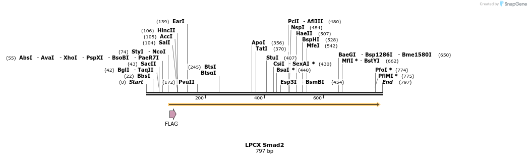 19060_map