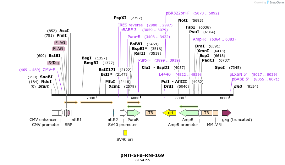 190609_map