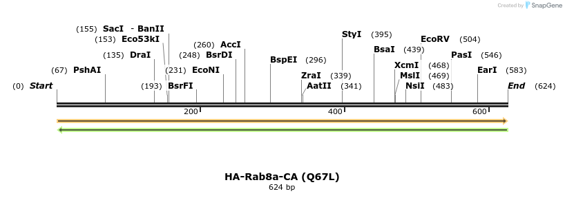 190614_map