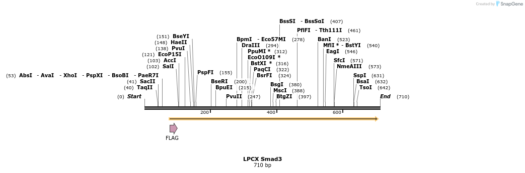 19062_map