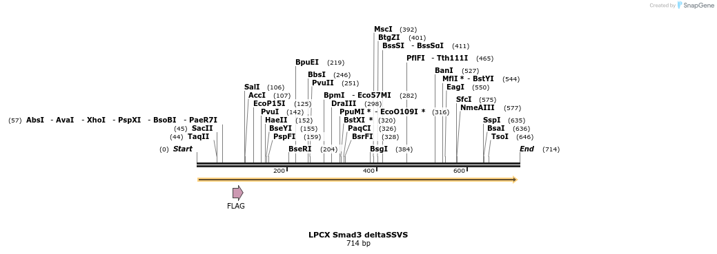 19063_map