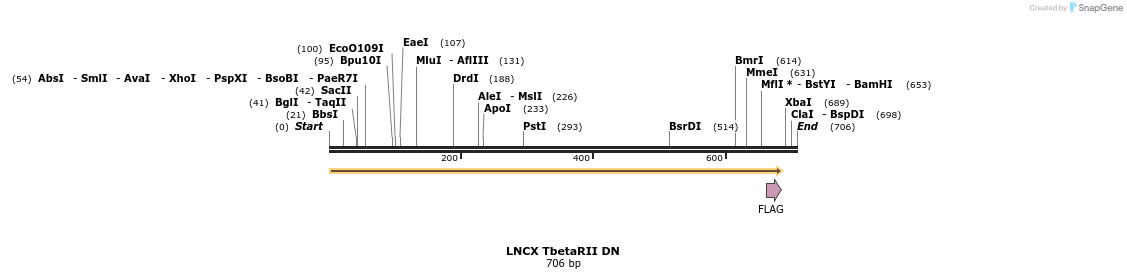19064_map