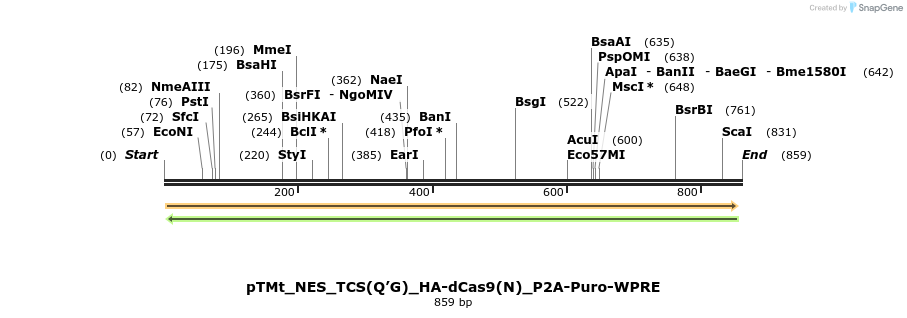 190661_map