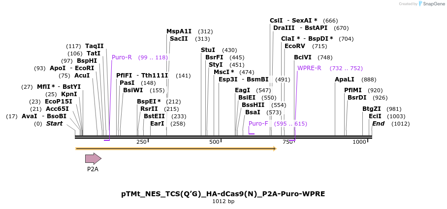 190662_map