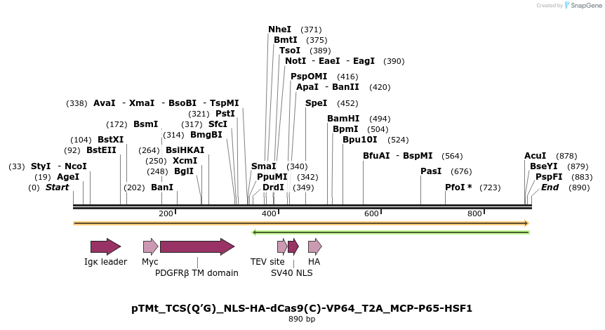 190669_map