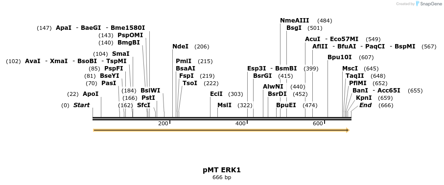 19067_map