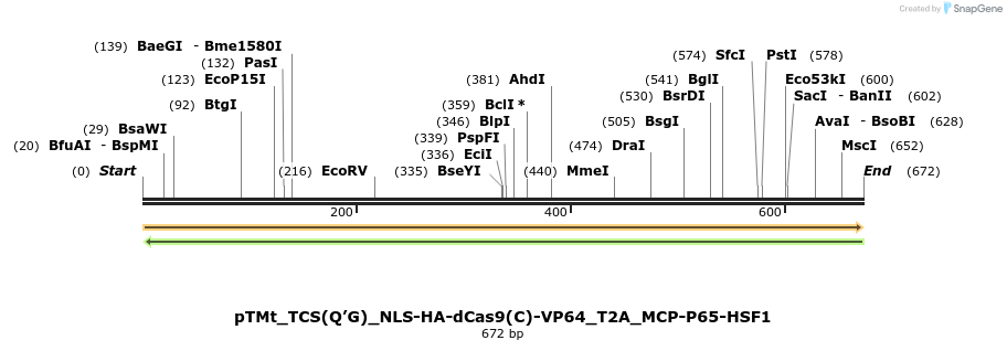 190670_map