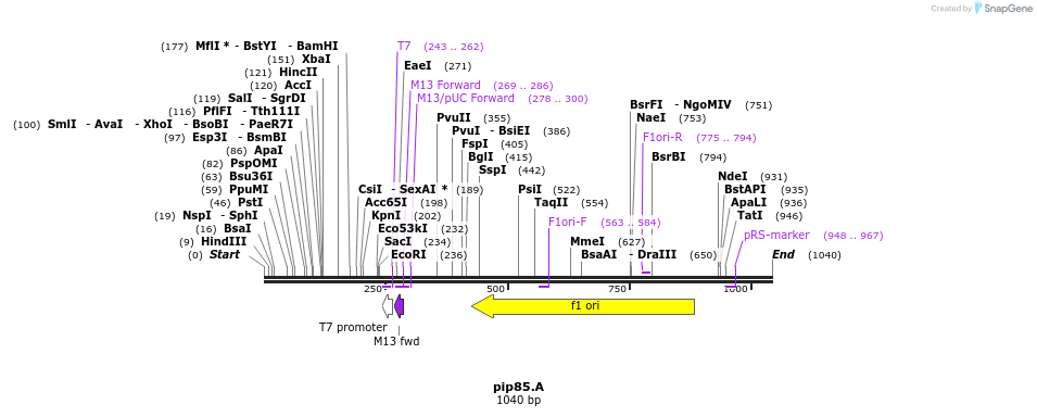 190675_map