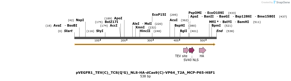 190679_map