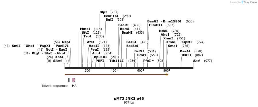 19068_map