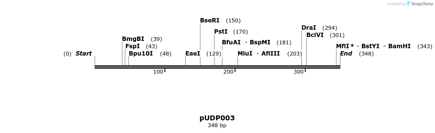 190745_map
