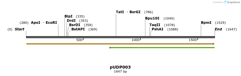 190746_map