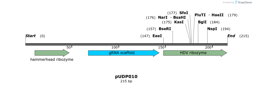 190754_map