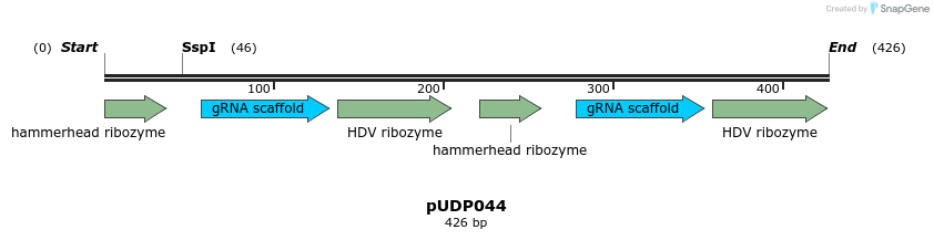 190759_map