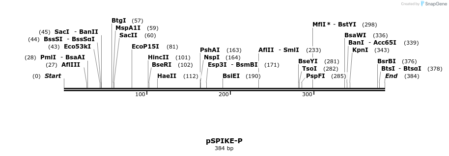 190764_map