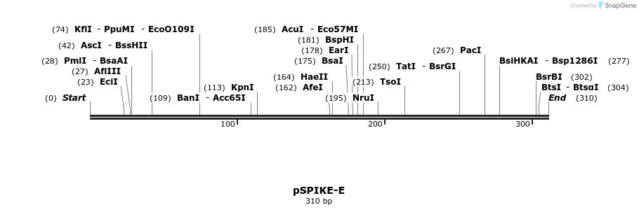 190766_map
