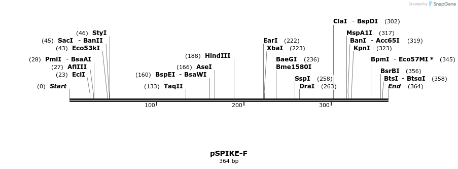 190768_map