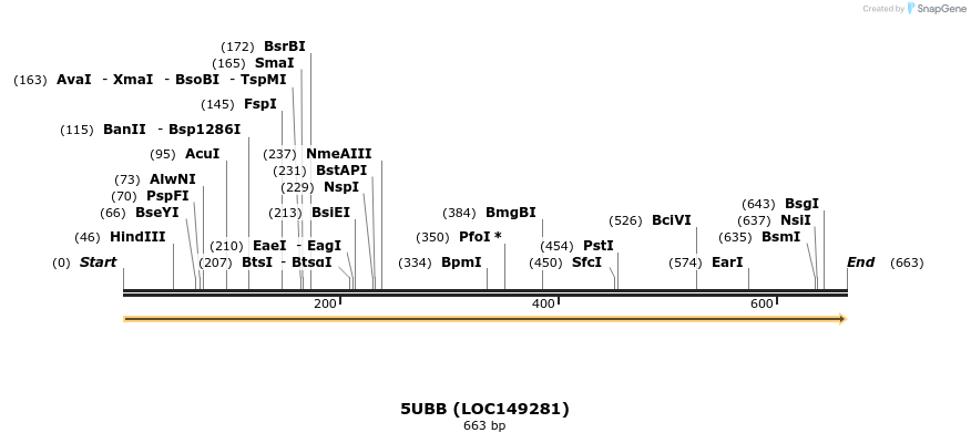 190964_map