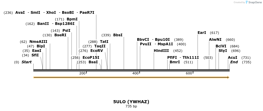 190965_map