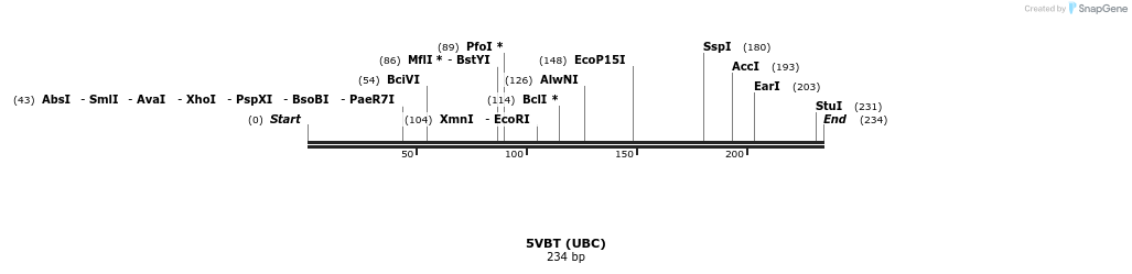 190968_map