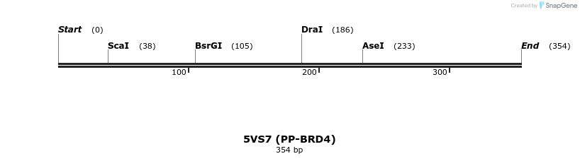 190971_map
