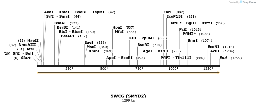 190975_map