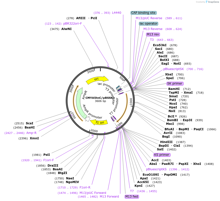 191012_map