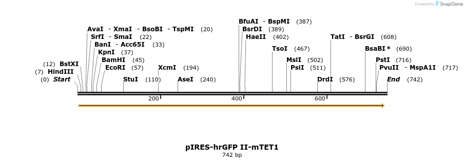 191041_map