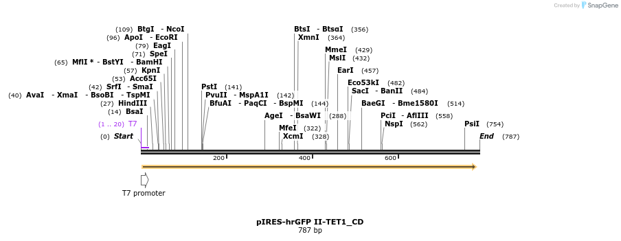 191048_map