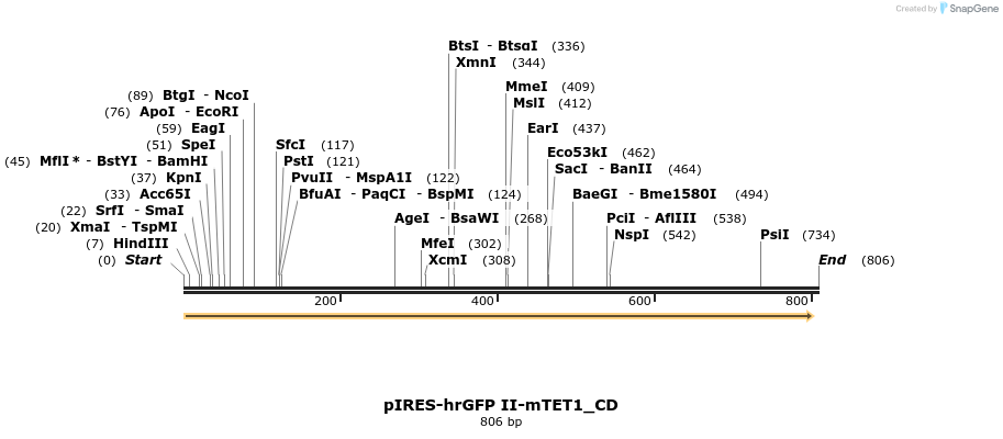 191051_map