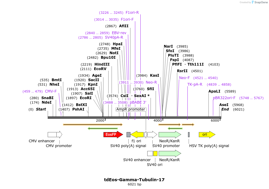 191063_map