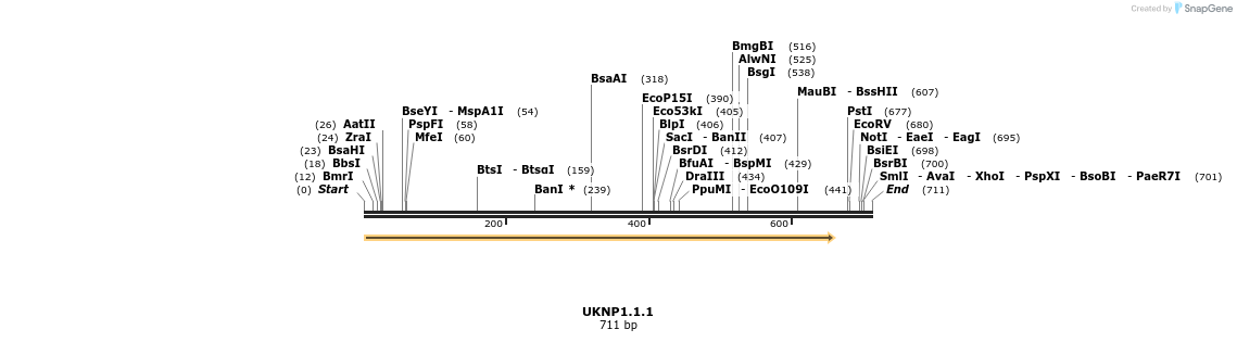 191084_map