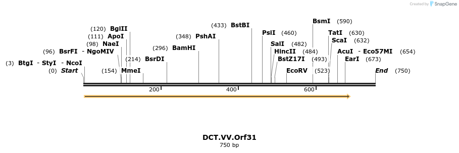 19114_map