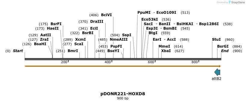 191266_map