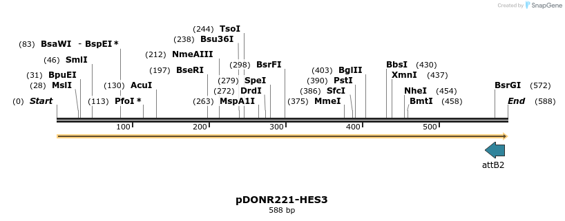 191284_map