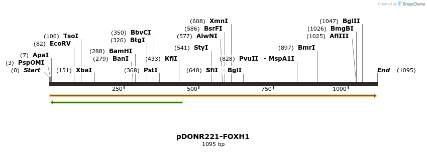 191324_map
