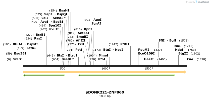 191344_map