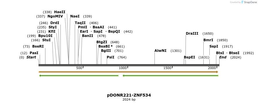 191360_map