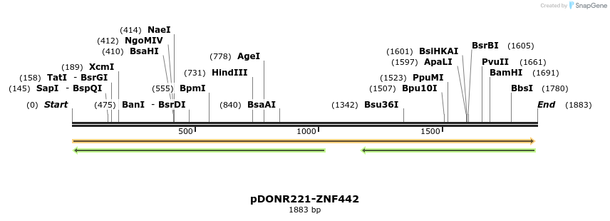 191372_map