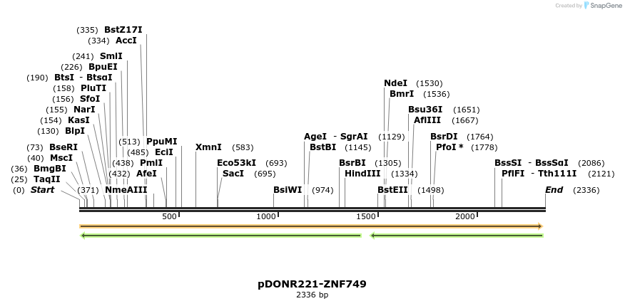 191382_map
