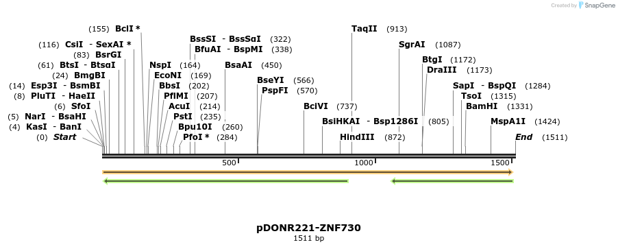 191392_map