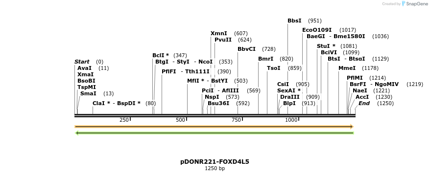 191446_map