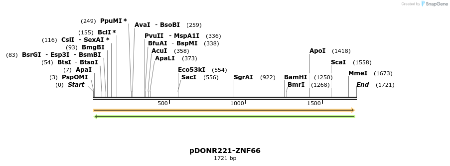 191466_map