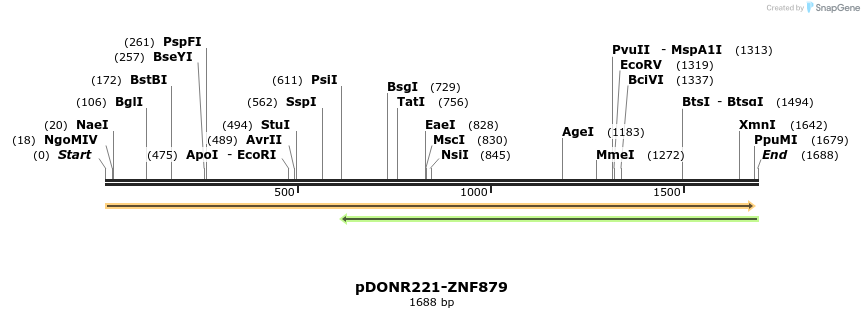 191708_map