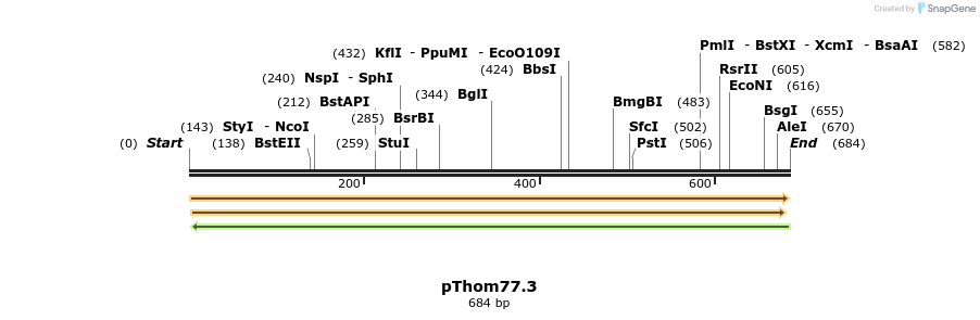 191737_map