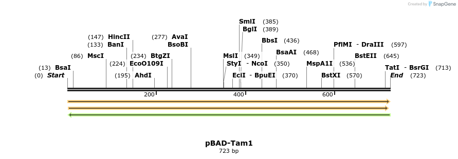 191743_map