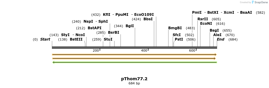 191757_map