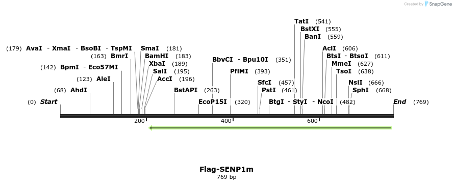 192442_map